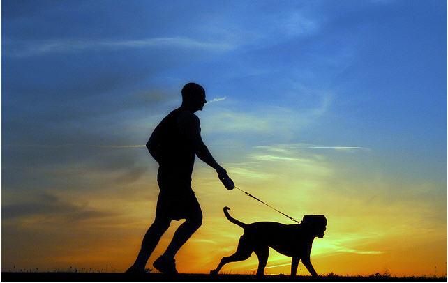 running-with-dog